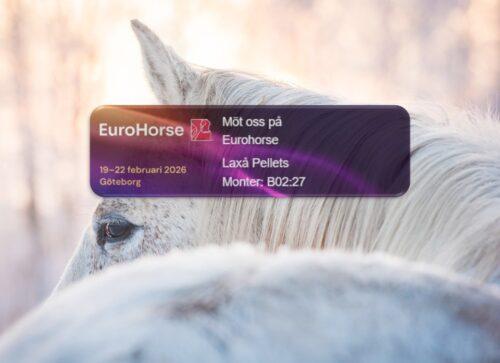 Gothenburg Horse Show 2026