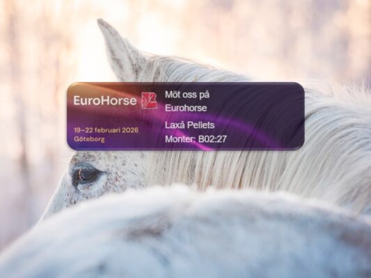 Gothenburg Horse Show 2026